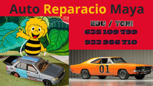 Auto Reparació Maya